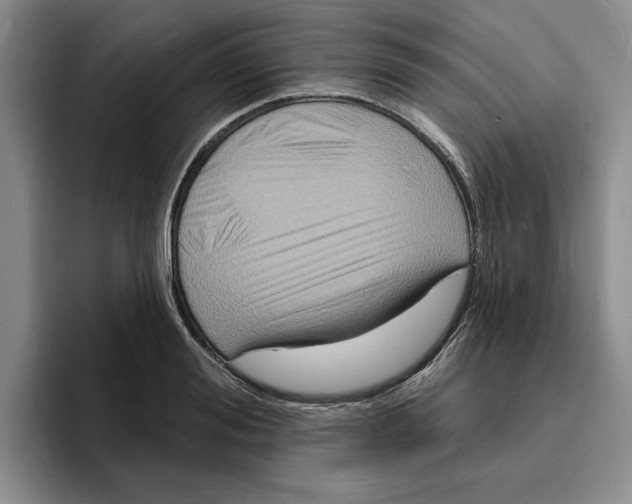 X0000096390988200802211138