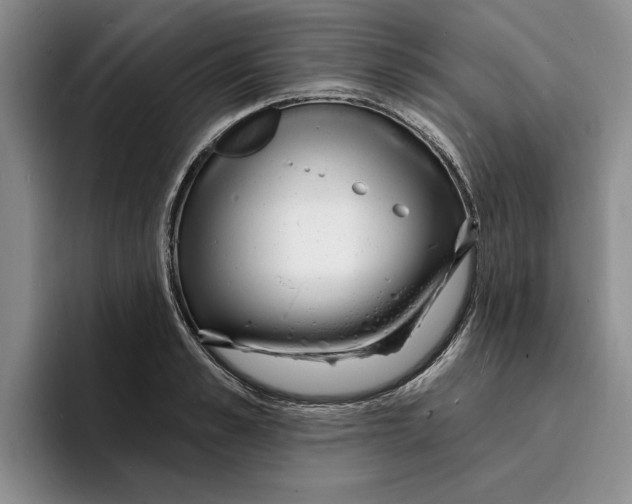 X0000096390989200802211138