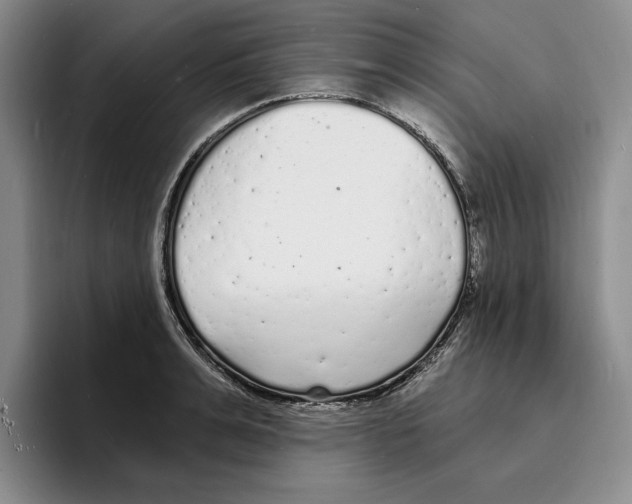X0000096390991200802211138