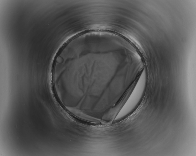 X0000096390992200802211138
