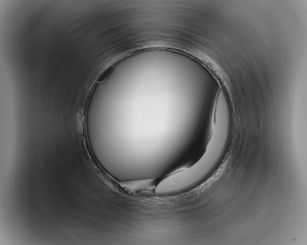 X0000096390993200802211138