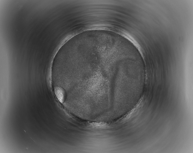 X0000096390994200802211138