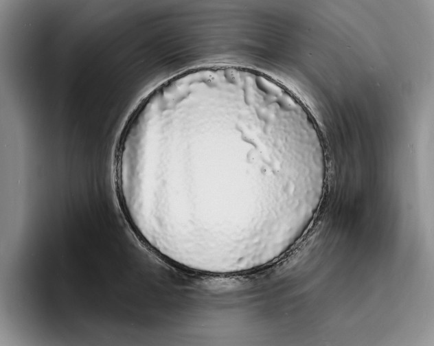 X0000096390998200802211138