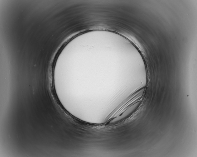 X0000096391000200802211138