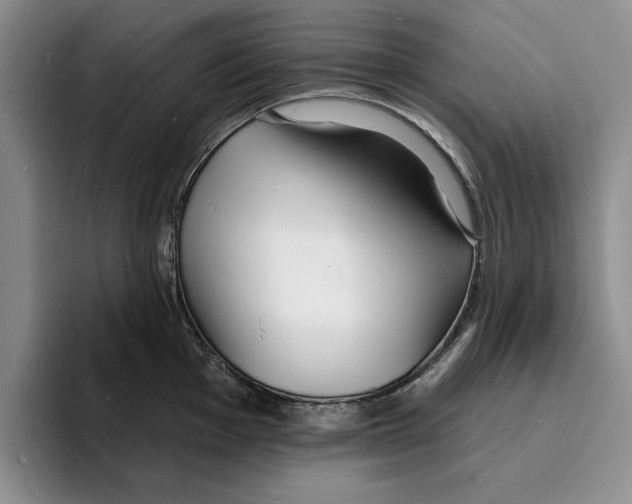 X0000096391001200802211138
