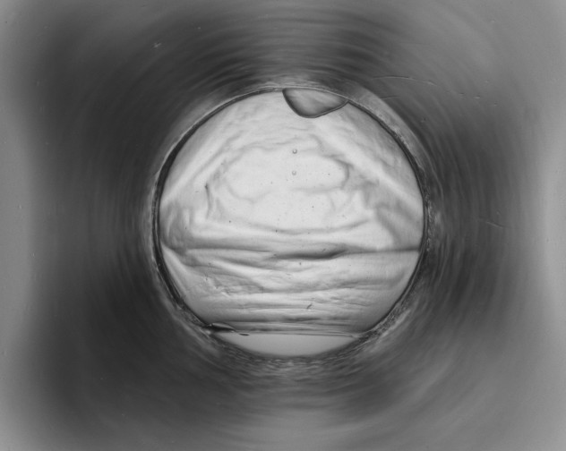X0000096391002200802211138