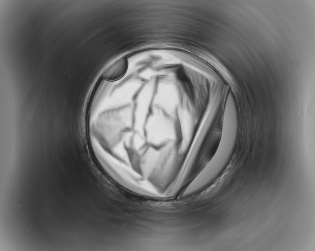 X0000096391004200802211138