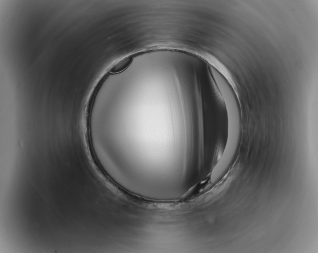 X0000096391005200802211138