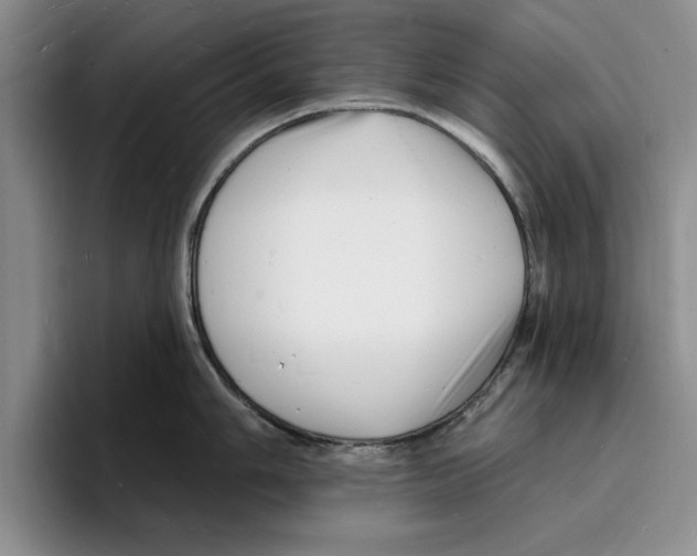 X0000096391006200802211138