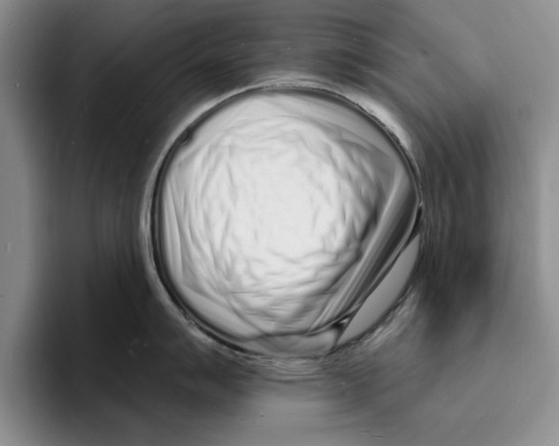 X0000096391007200802211138