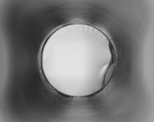 X0000096391008200802211138