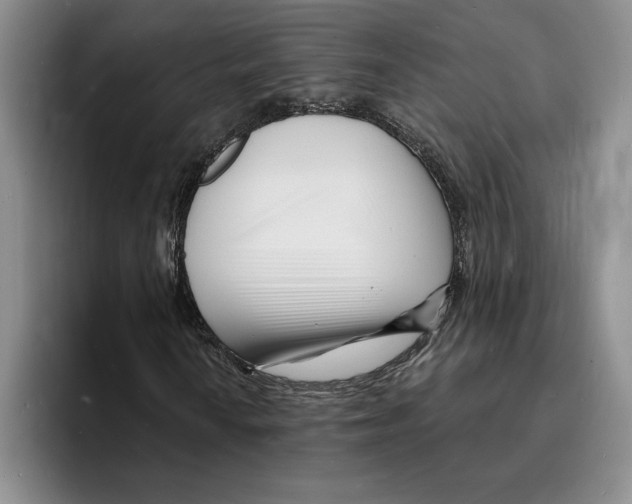 X0000096391010200802211137