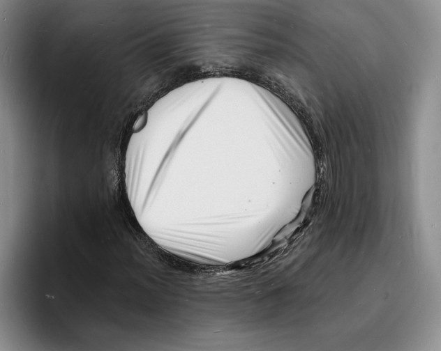 X0000096391012200802211137