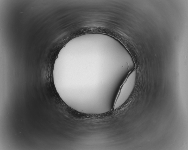 X0000096391014200802211137