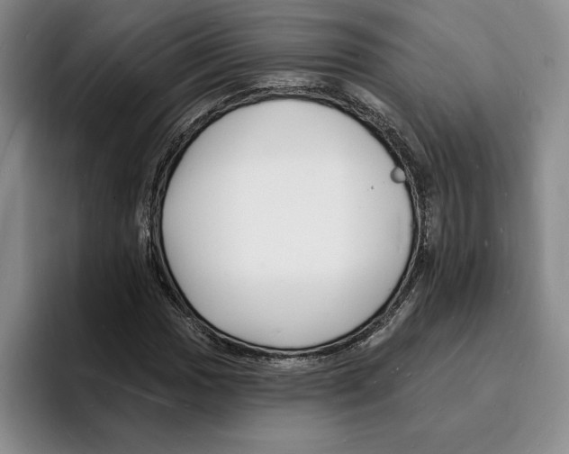 X0000096391017200802211137