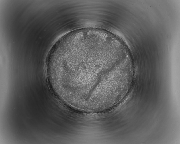 X0000096391019200802211137