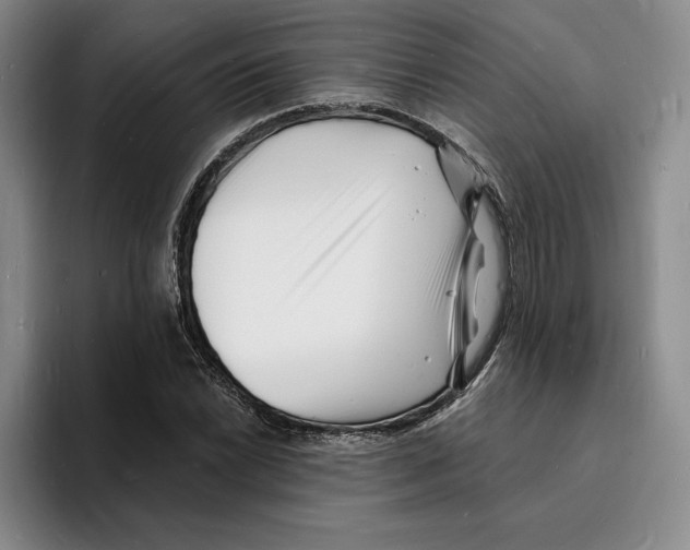 X0000096391022200802211137