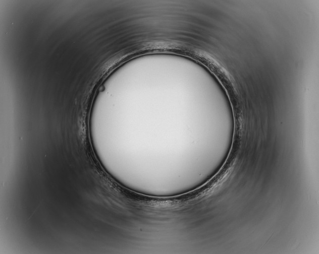 X0000096391025200802211137