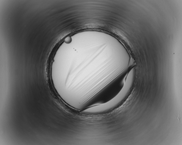 X0000096391026200802211137