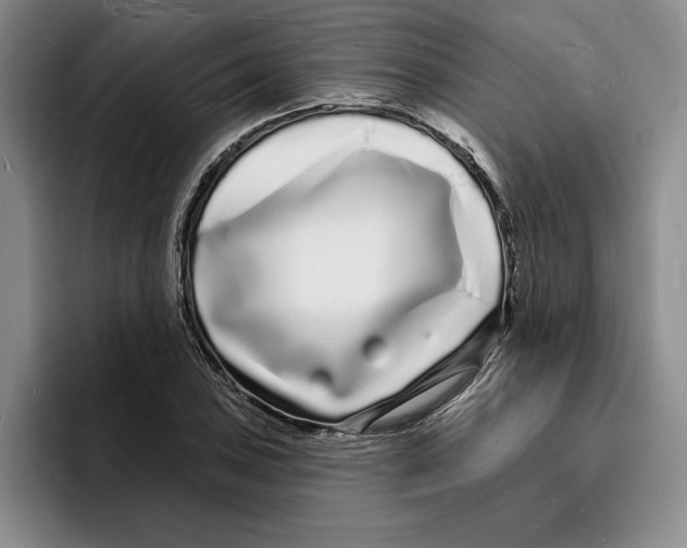 X0000096391027200802211137