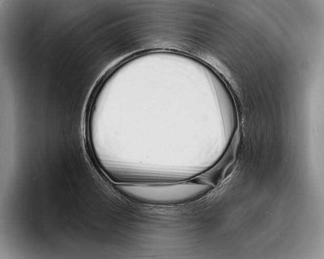 X0000096391028200802211137