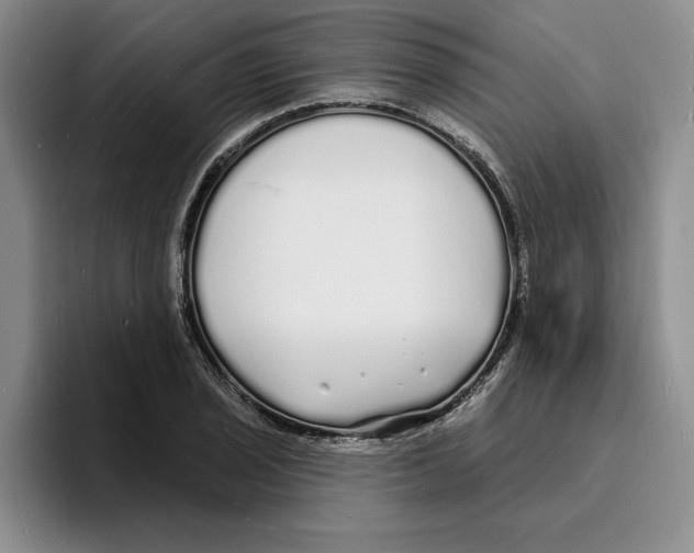 X0000096391029200802211137