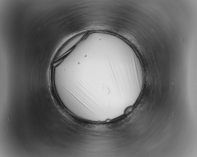 X0000096391030200802211137