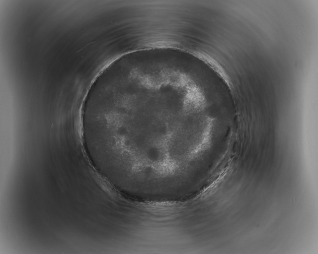 X0000096391031200802211137