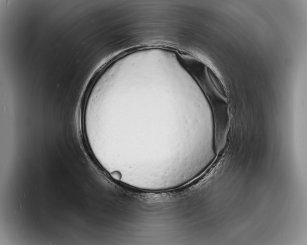 X0000096391032200802211137