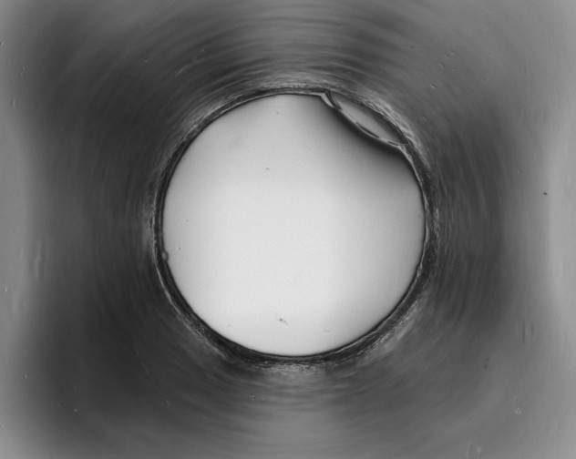 X0000096391033200802211137