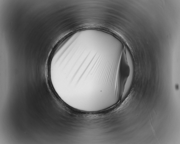 X0000096391034200802211137
