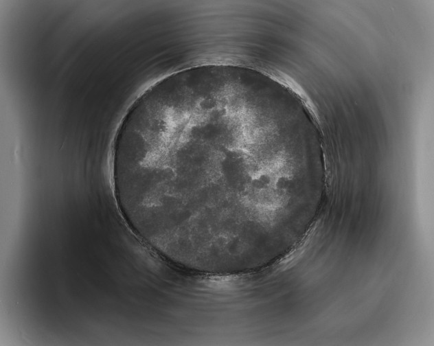 X0000096391035200802211137