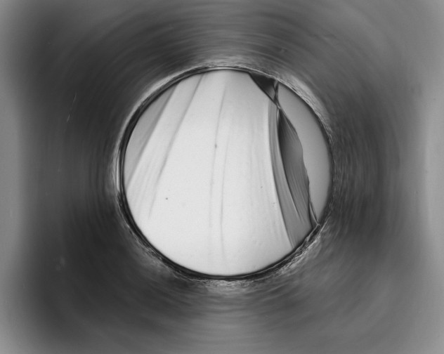 X0000096391036200802211137