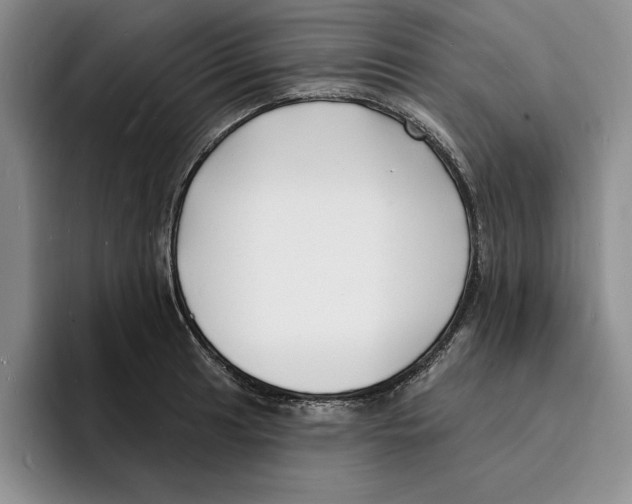 X0000096391041200802211137