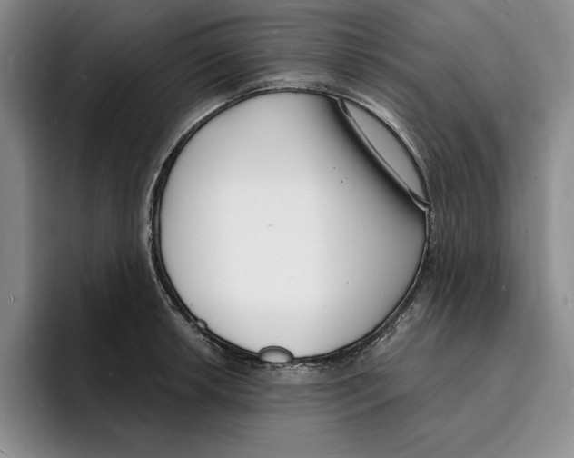 X0000096391042200802211137