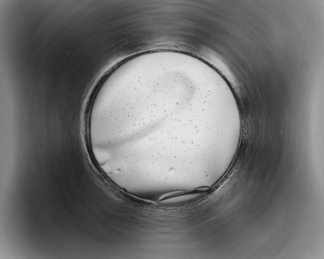 X0000096391043200802211137