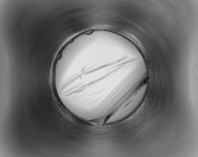 X0000096391044200802211137