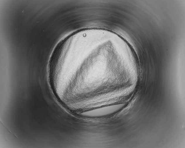 X0000096391045200802211137