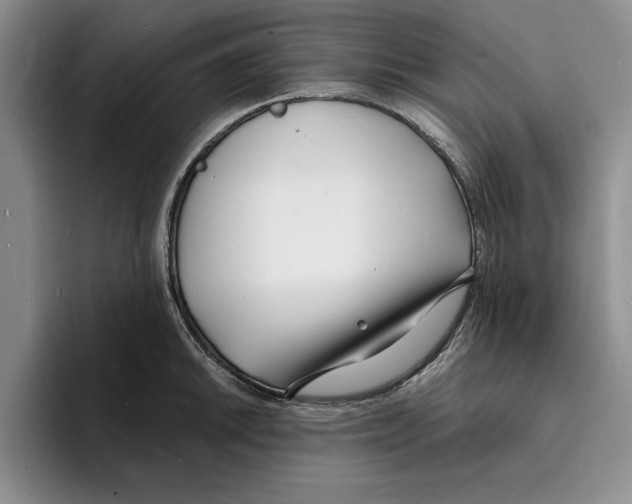 X0000096391046200802211137