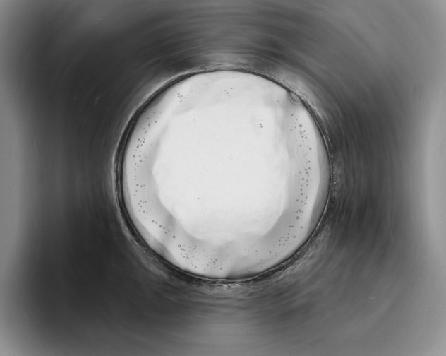 X0000096391047200802211137