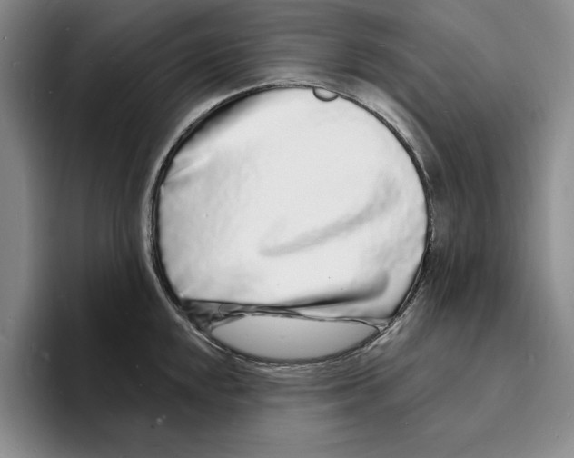 X0000096391048200802211137