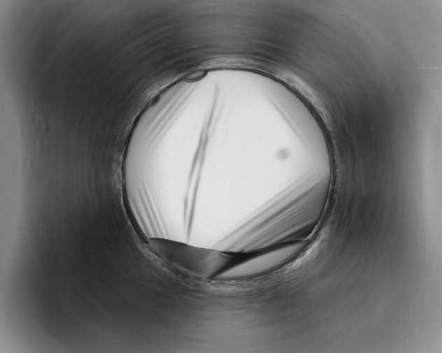 X0000096391049200802211137