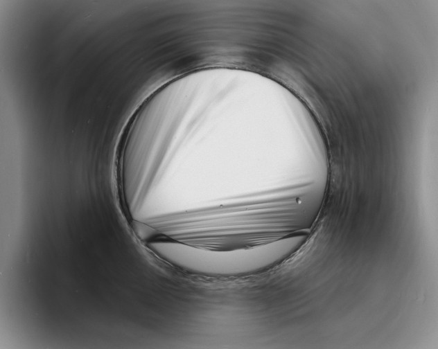 X0000096391050200802211137