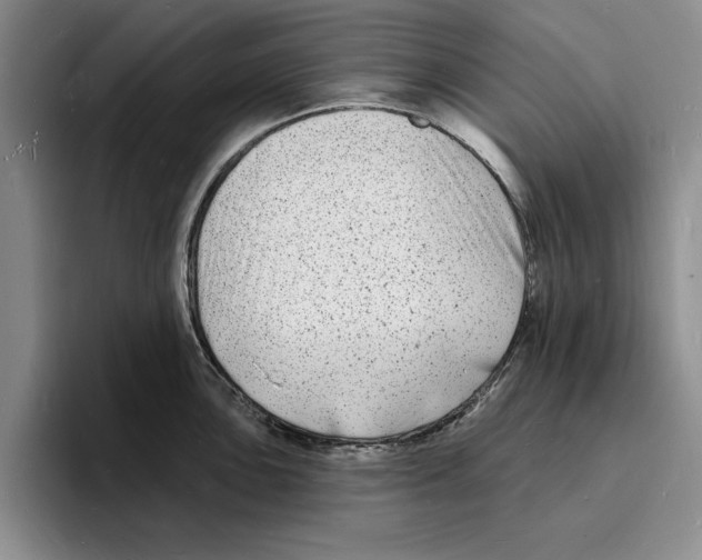 X0000096391051200802211137