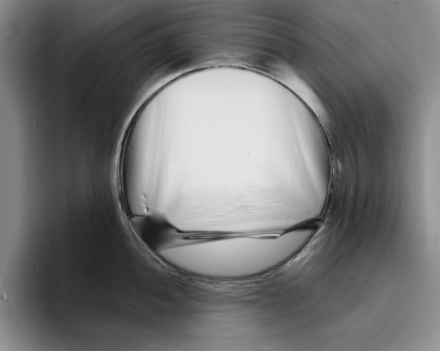 X0000096391052200802211137