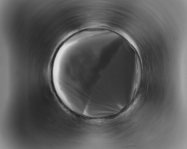 X0000096391053200802211137