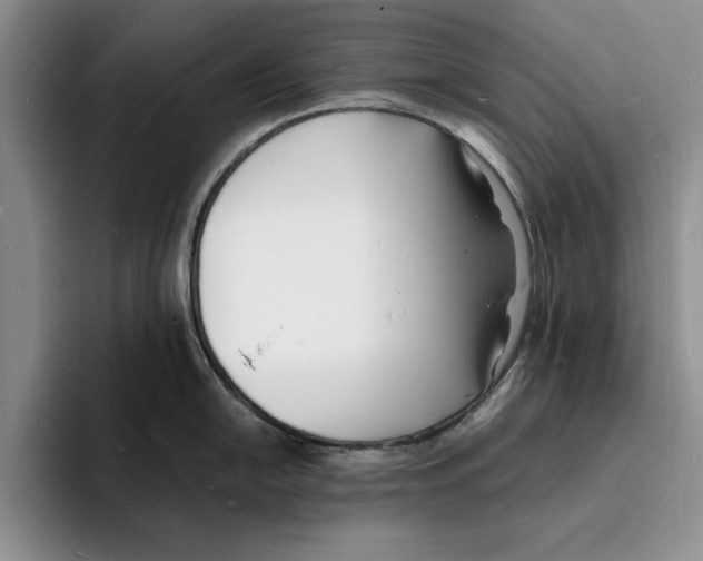X0000096391054200802211138