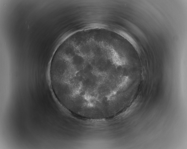 X0000096391055200802211138