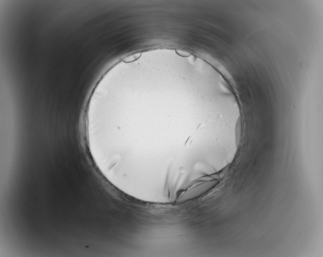X0000096391056200802211138