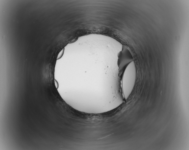 X0000096391058200802211137